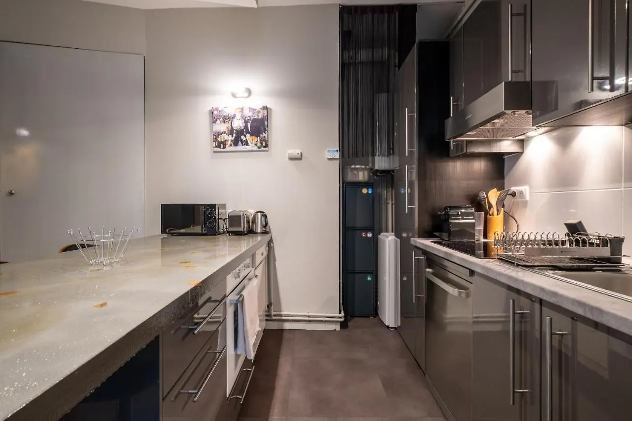 Appartement De Prestige - Rue Des Arts 圖盧茲
